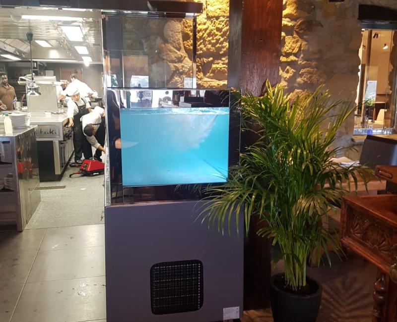 VIVERO MERCURY CON ENMARCACION EN ACERO - Acuarios y Viveros de marisco Tecnomar